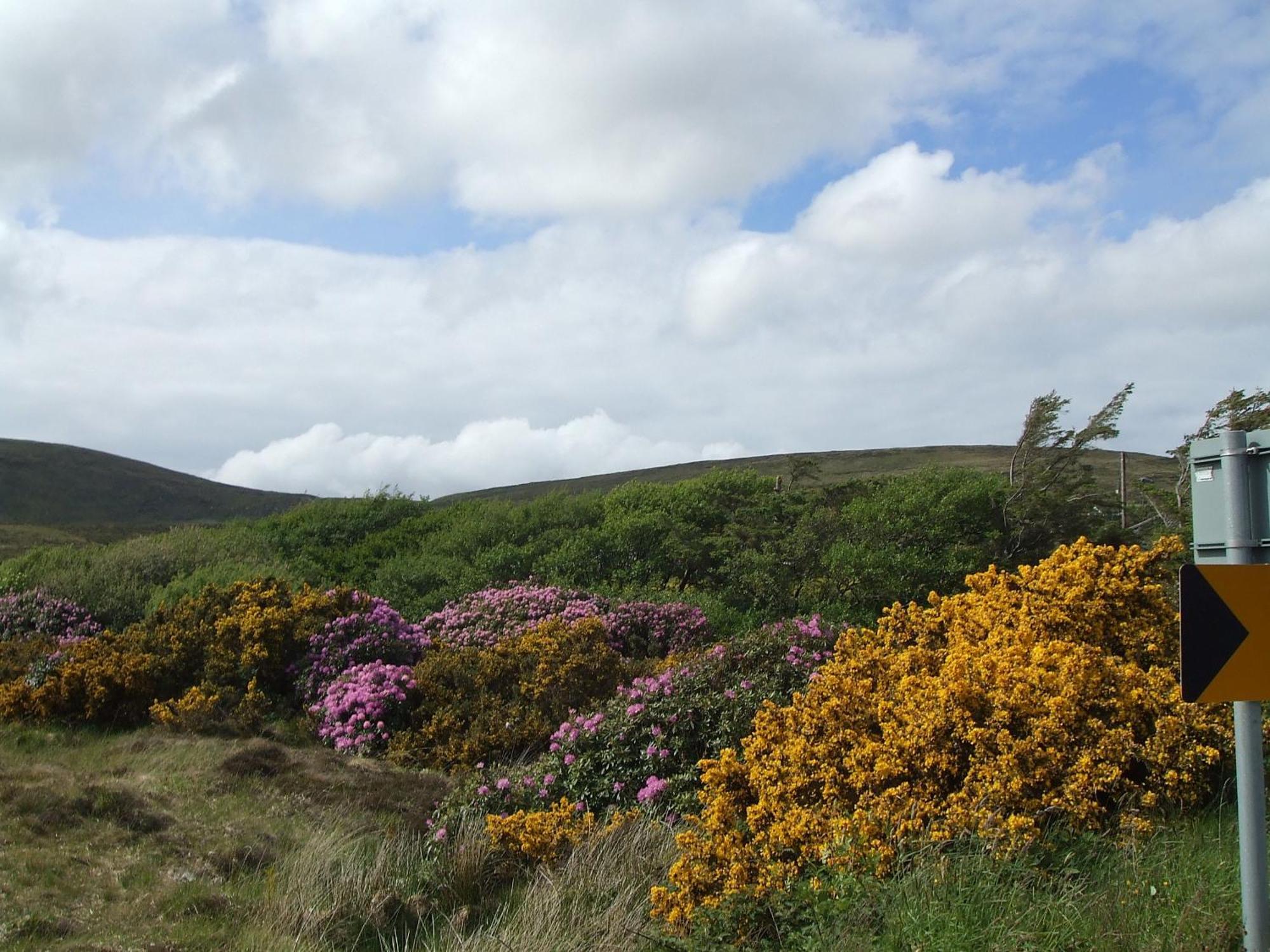 Achill Cliff House Hotel & Restaurant Keel  Luaran gambar